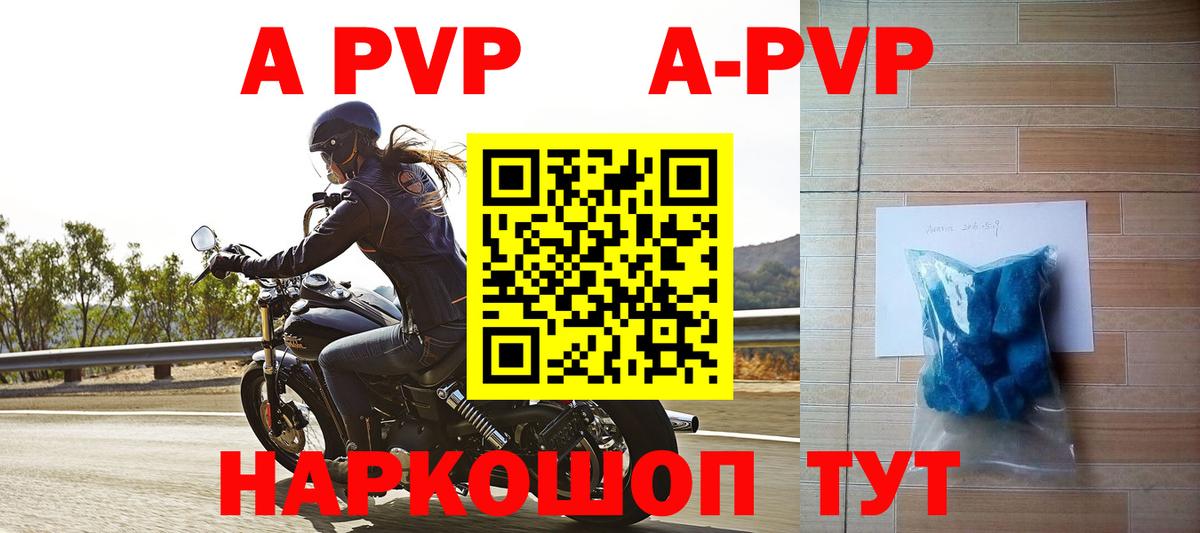 Alfa_PVP СК Тосно
